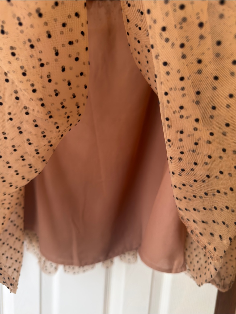 entro Taupe Sheer Polka Dot Ruffle Sleeve Blouse - Picture 4 of 4